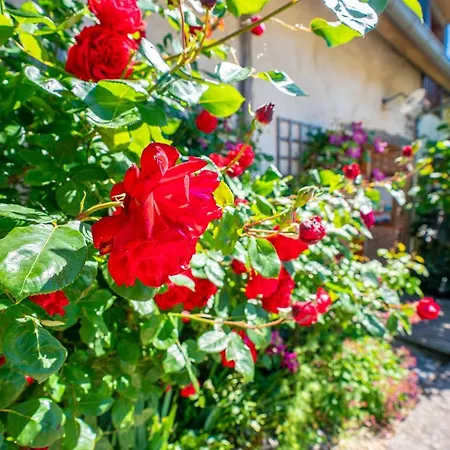 D'hotes - Le Jardin Des Patissons 3*