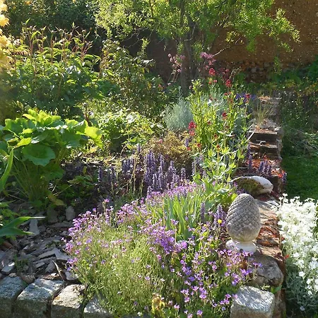 D'hotes - Le Jardin Des Patissons