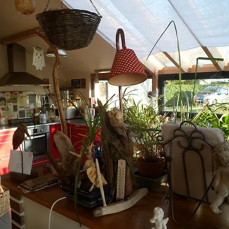 Bed and breakfast D'hotes - Le Jardin Des Patissons La Foret Du Parc